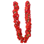 /tmp/20230912-1652531.jpeg