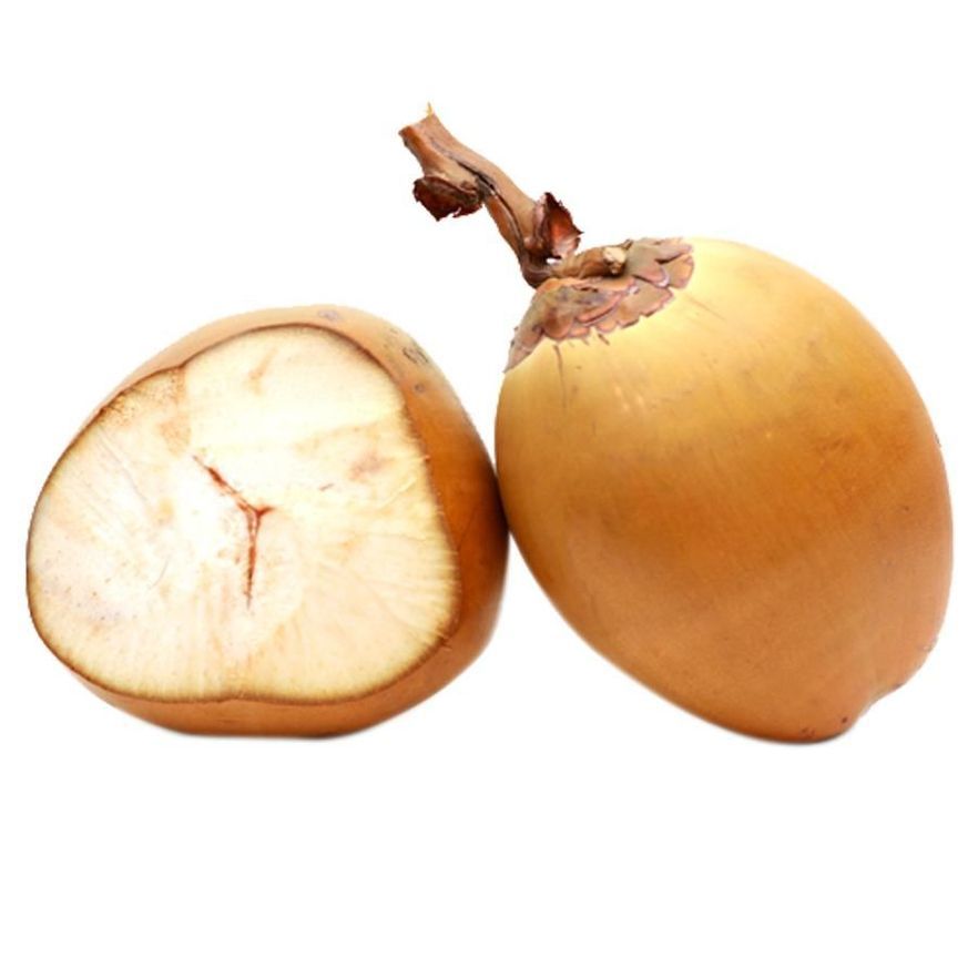 Golden Tender Coconut 1.0 pcs