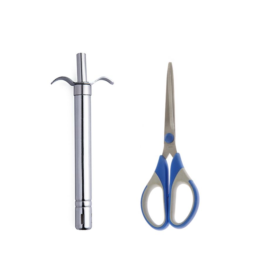 Petals 2 Pcs Gas Lighter & General Household Scissor Set