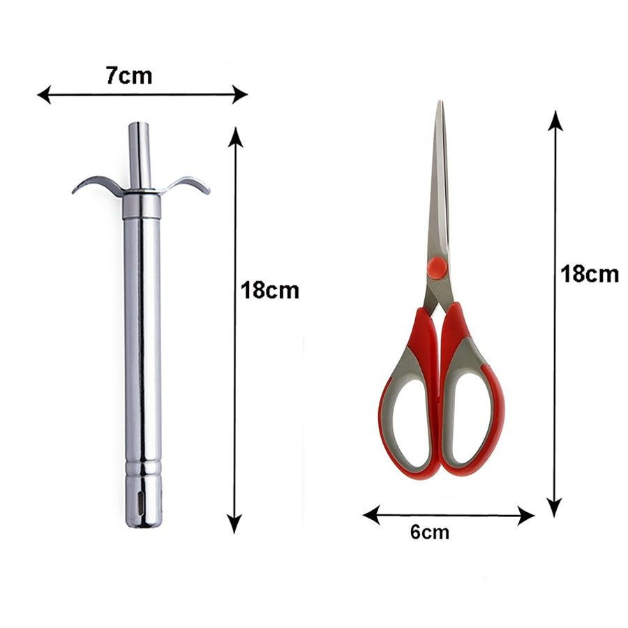 Petals 2 Pcs Gas Lighter & General Household Scissor Set