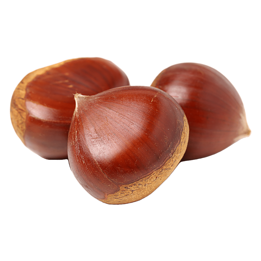 Himalayan Chestnuts
