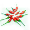 1b3b91a5-42b6-4d81-a713-e72d29aca11d.png