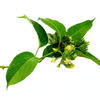 328bfd3c-1341-48a9-9fe2-e071b189d7c9.PNG