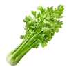 /tmp/20231006-1522411.jpeg