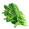 Photo.jpeg