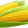 shutterstock_793795639.jpg
