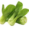 shutterstock_1756195469-removebg-preview.png