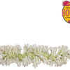 Rajnigandha mola.png