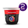 Epigamia No Added Sugar Greek Yogurt - Strawberry (Pack of 2).jpg