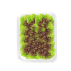 image_file.png