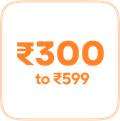 ₹300 & above