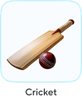 Cricket