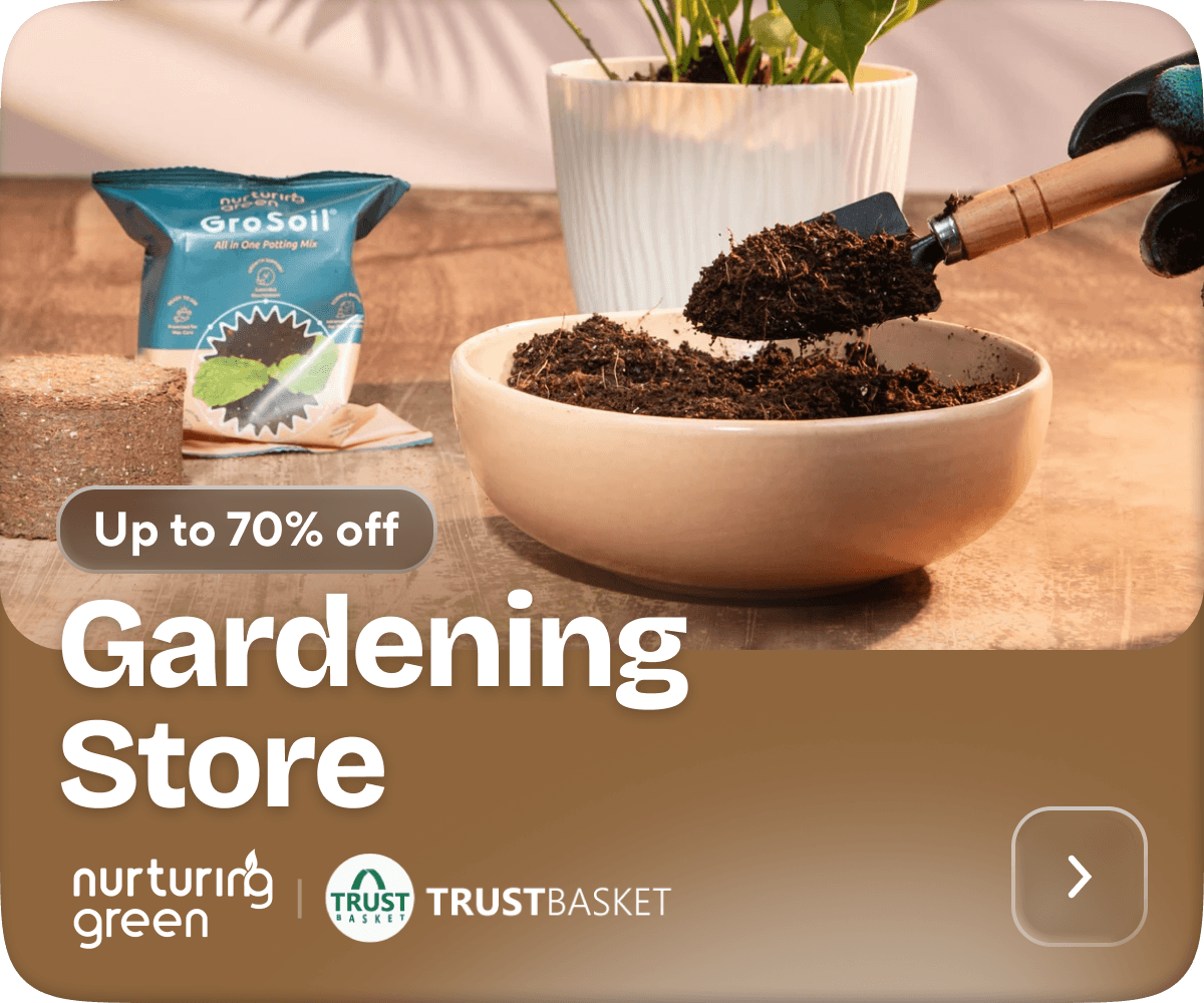 Gardening Store
