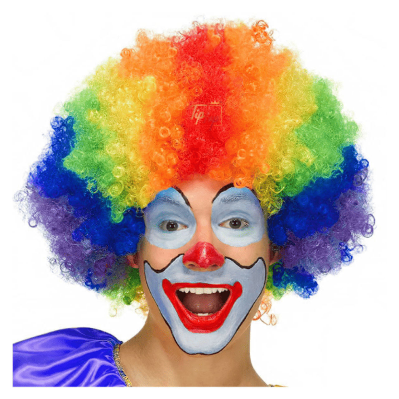 Let's Vybe Multicolor Wig