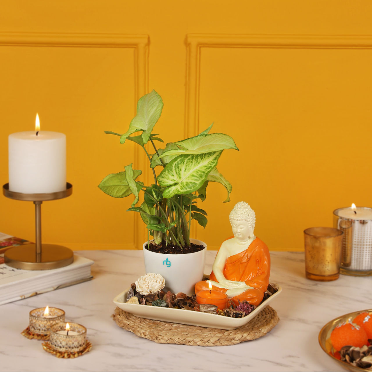 Nurturing Green Diwali 'Zen Corner' Gift Box with Plant