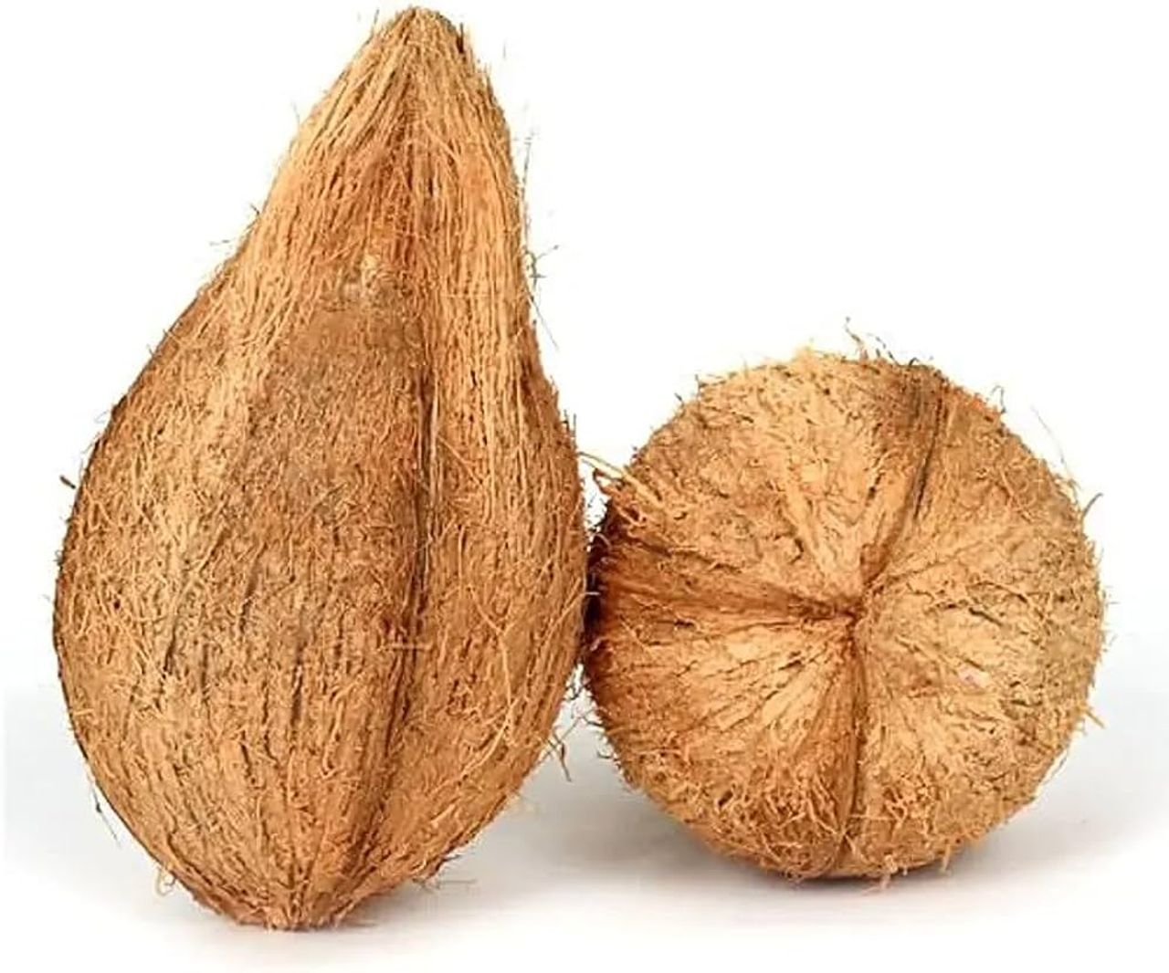 Coconut Kalash