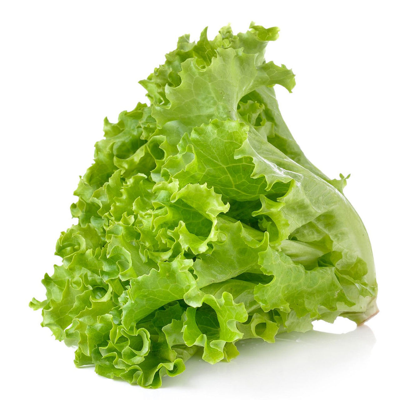 Gourmet Garden Hydroponic Leafy Lettuce