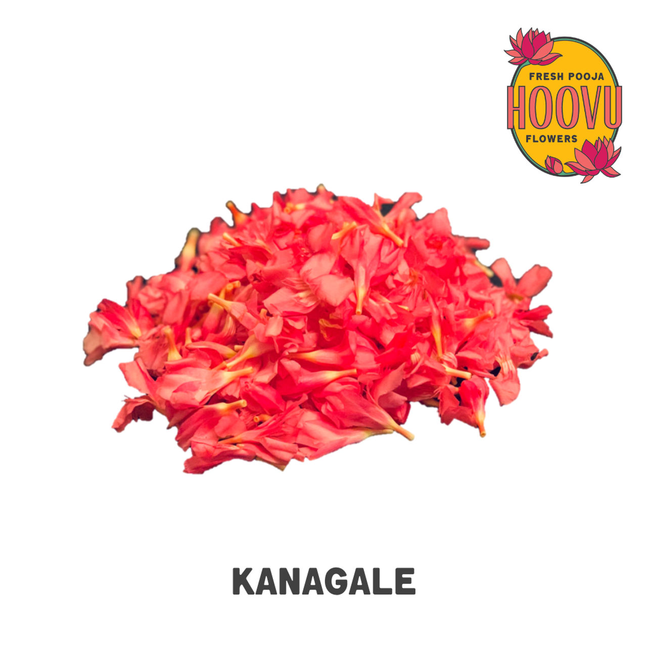 Hoovufresh Oleander (Kanagale/Arali)