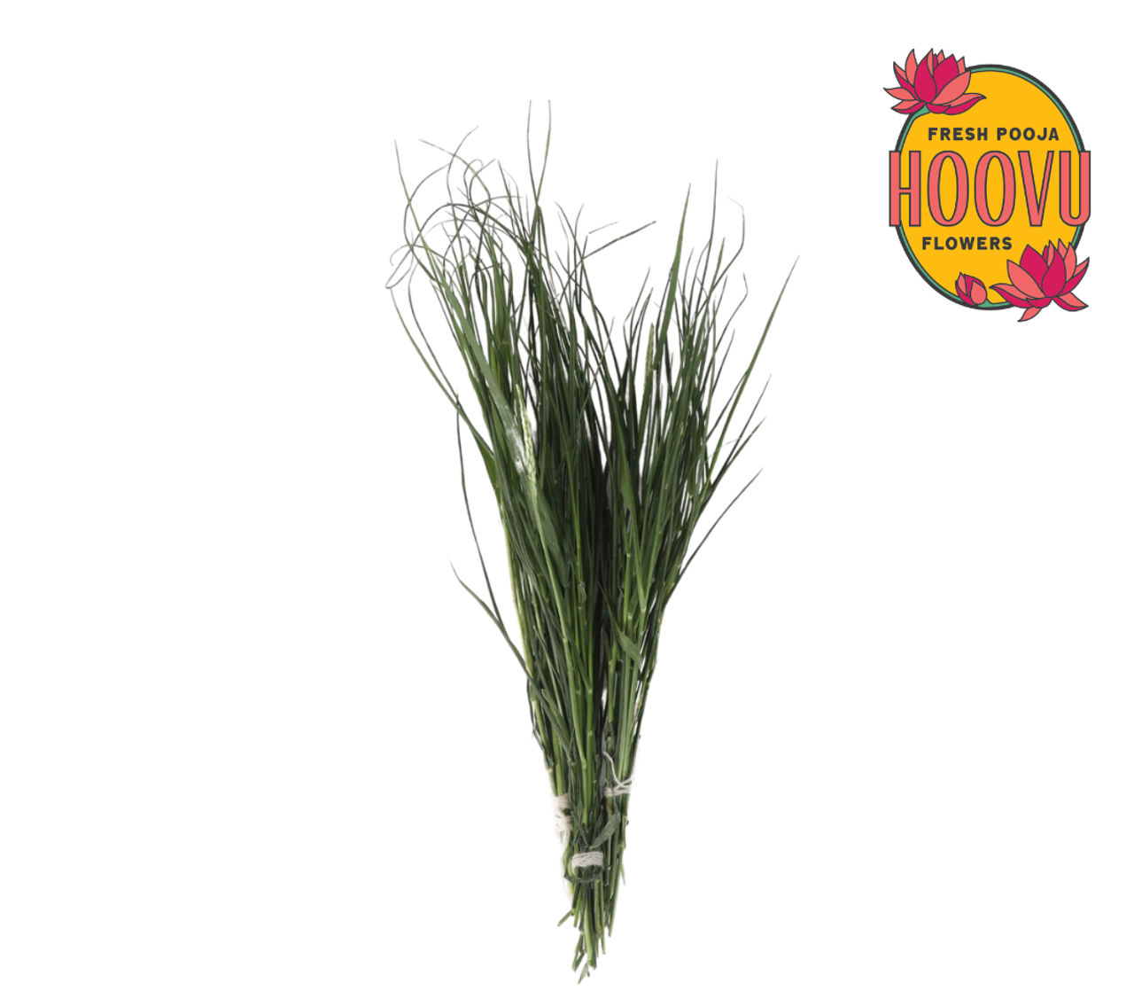 Hoovu Fresh Durva Grass