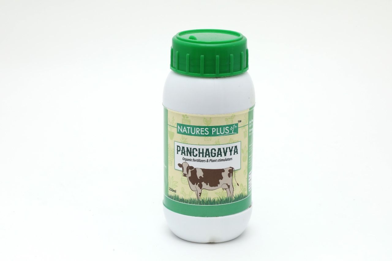 Nature's Plus Panchagavya