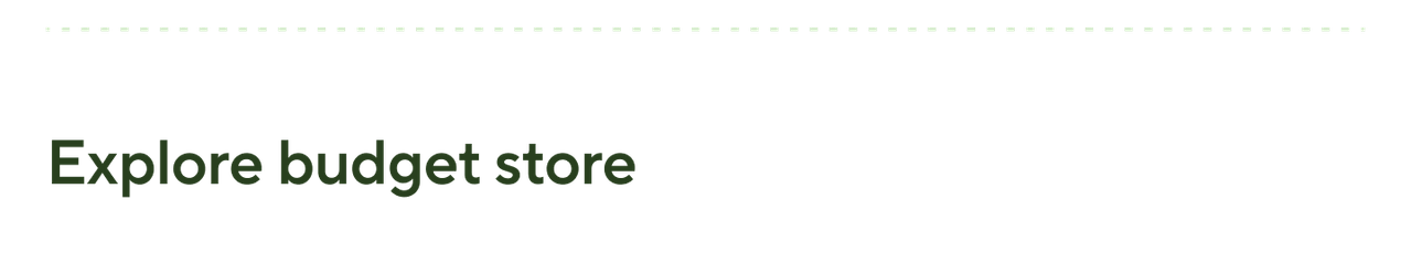 Explore budget store.png