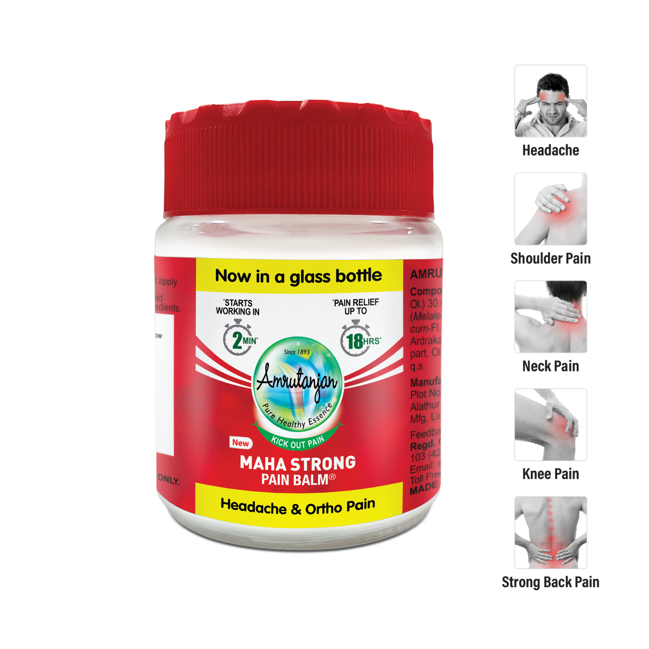 Amrutanjan Maha Strong Pain Balm