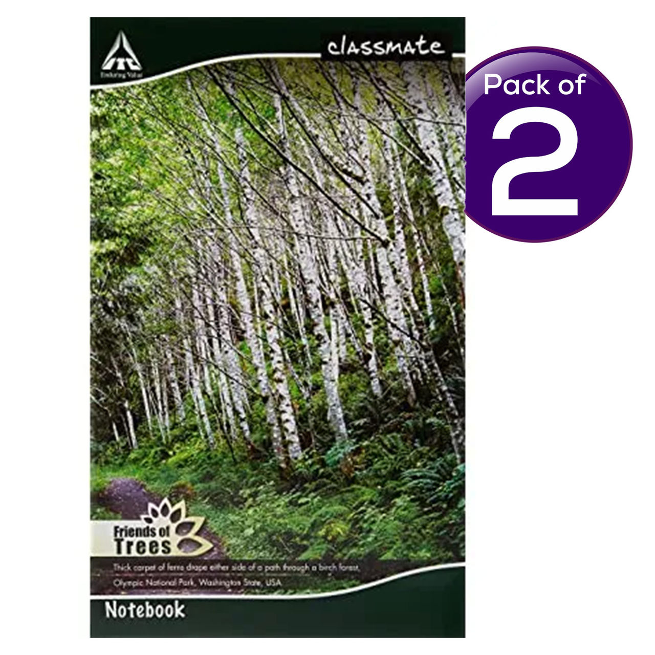 Classmate Longbook Unruled 314 x 194 160 Pages - Assorted 1 pc Combo