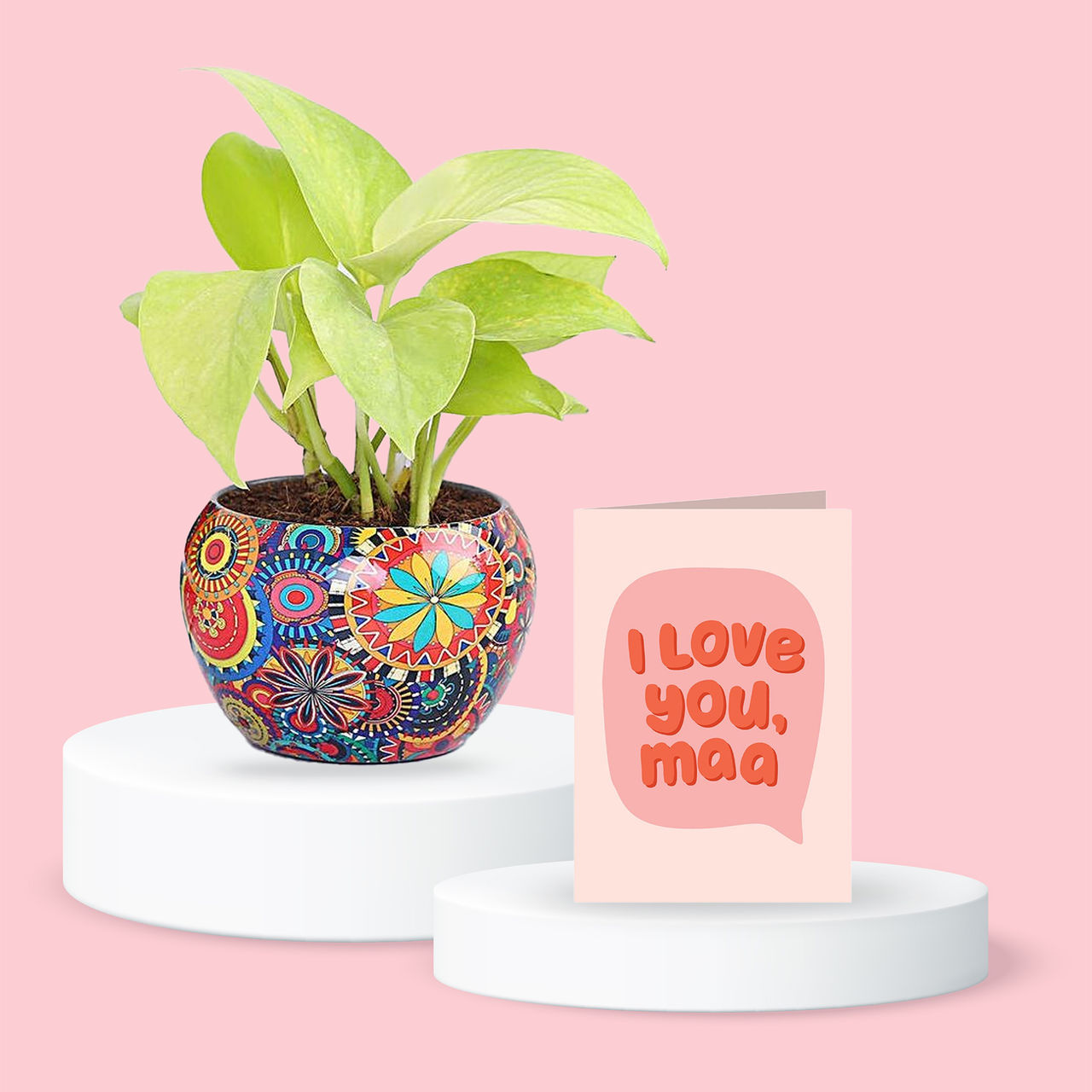 Fnp Golden Money Plant In Colourful Rajwada Pot (1pc) & Oye Happy I Love You Maa (1pc) Combo