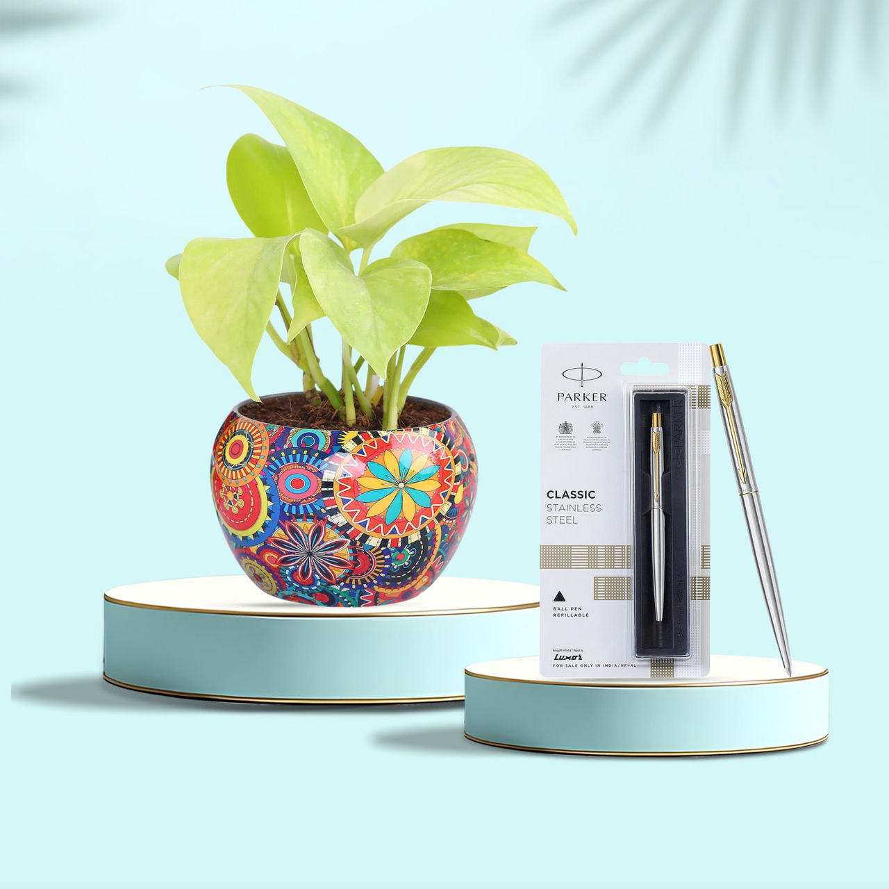 Parker Classic Stainless Steel Gold Trim Ball Pen| Ink Color - Blue | Corporate Gift (1pc) & Fnp Golden Money Plant In Colourful Rajwada Pot (1pc) Combo