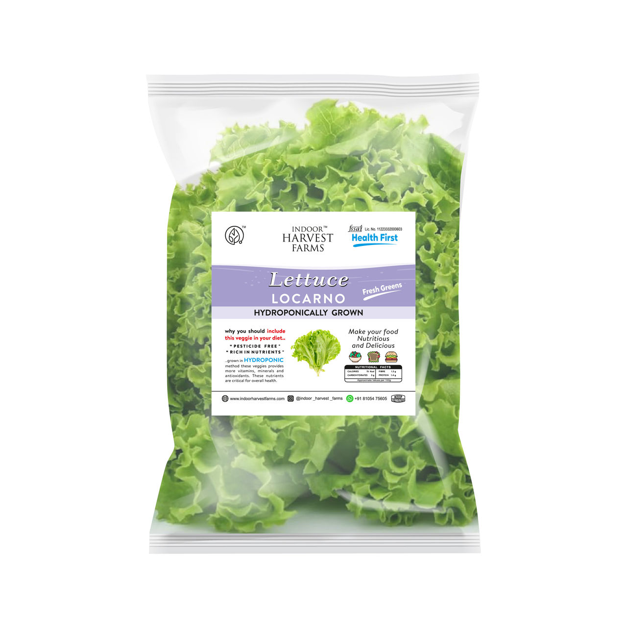 Hydroponic Locarno/ Green Lettuce