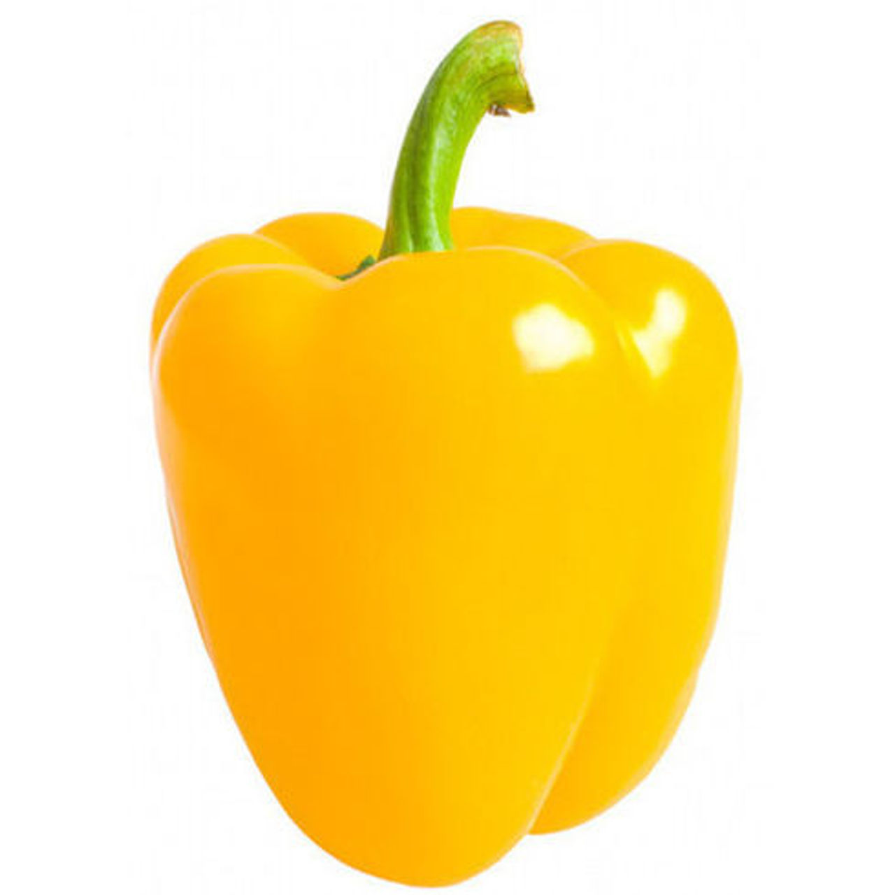 Gourmet Garden Organic Capsicum Yellow
