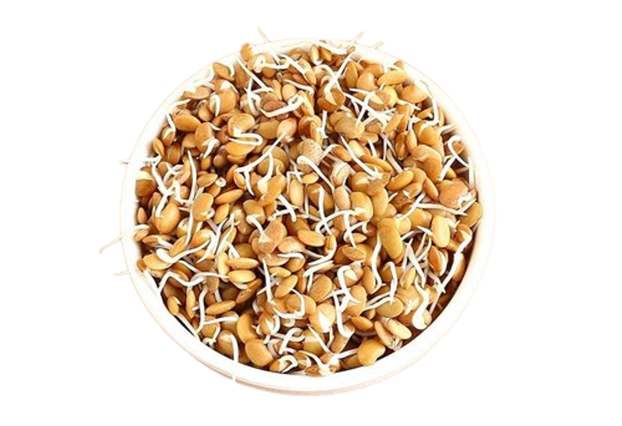 Horse Gram Sprouts