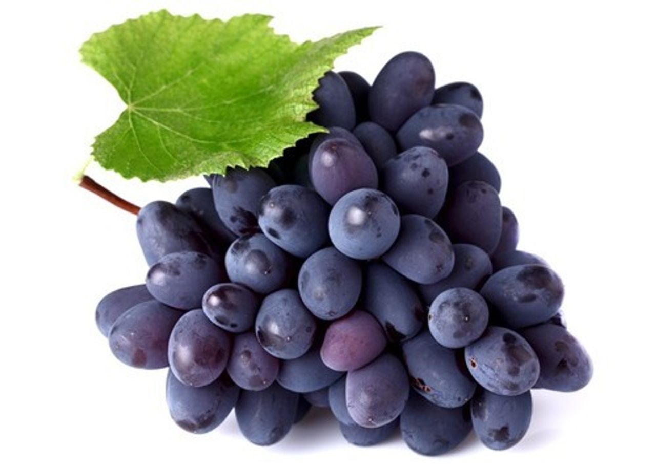 Grapes Bangalore Blue