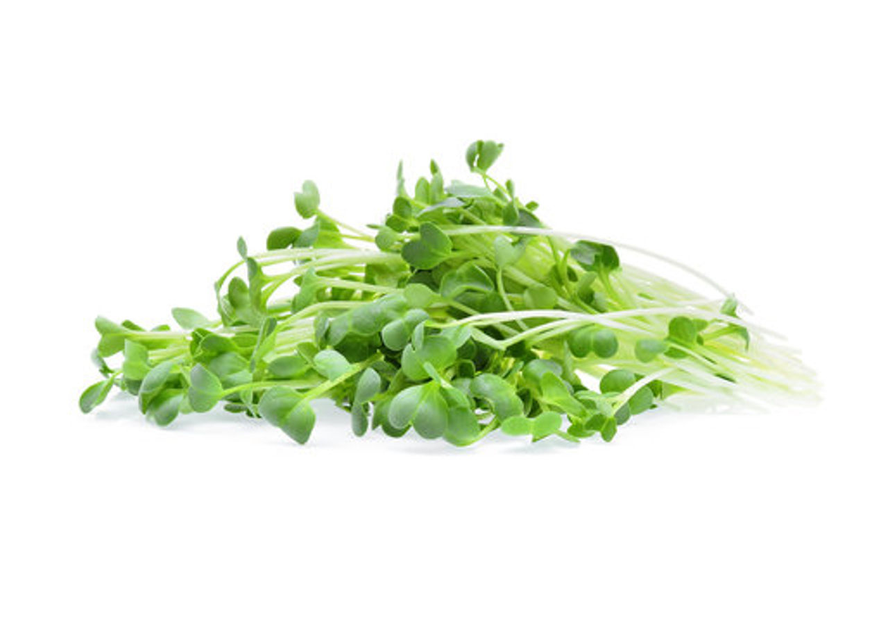Microgreen Broccoli