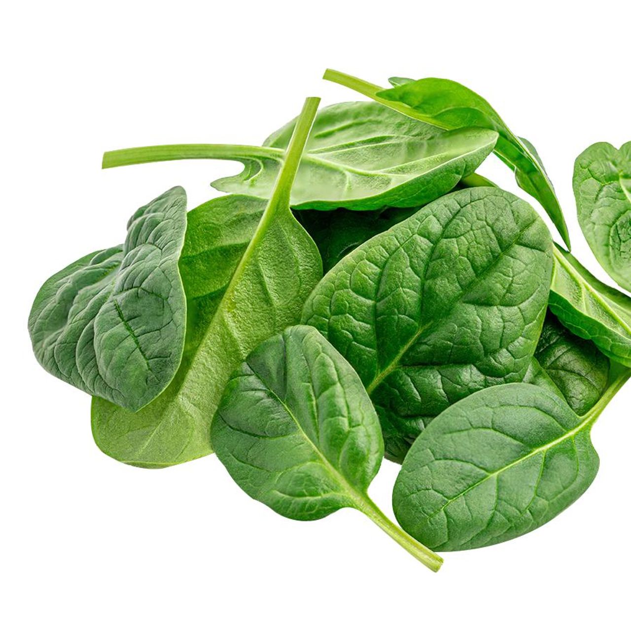 Hydroponic Baby Spinach