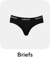 Briefs