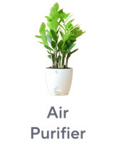 Air Purifiers