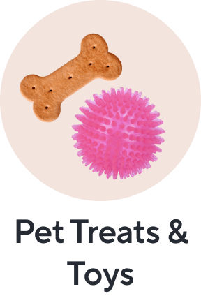 Pet Treats & Toys