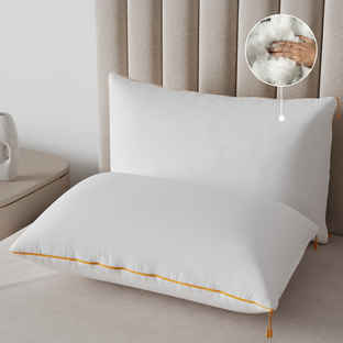 Pillow & Cushion - Buy Pillow & Cushion Online at Best Price Near