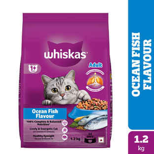 Cat Food Online in Sonipat - Buy Cat Food Near You at Best Price