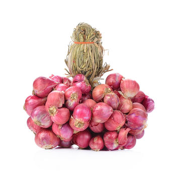 Gourmet Garden Organic Onion Sambar