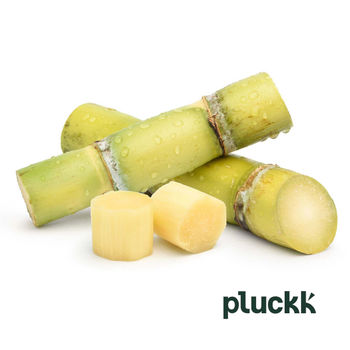 Pluckk Sugarcane Cut 175 g Combo