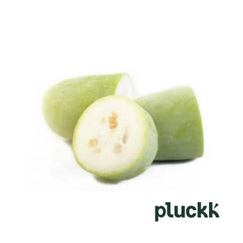 Pluckk Ash Gourd Cut 250 g Combo