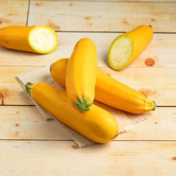 Zucchini Yellow