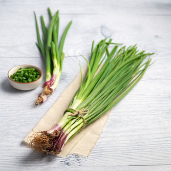 Spring Onion