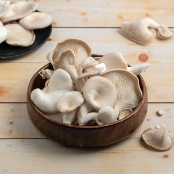 Mushroom Oyster 200 g Combo