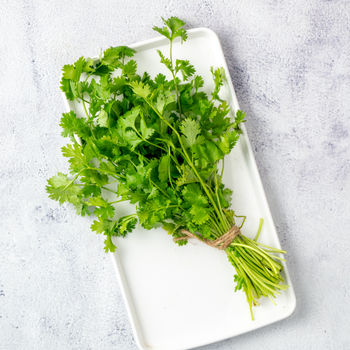 Coriander leaves with roots