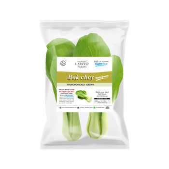 Hydroponic Bokchoy