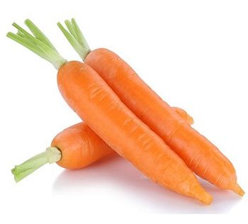 Carrot