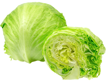 Lettuce Iceberg 250 g Combo